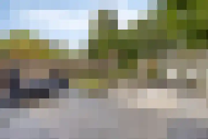 Rialen 4 Assendelft thumbnail 36