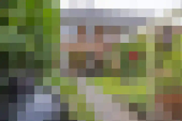 Rialen 4 Assendelft thumbnail 39