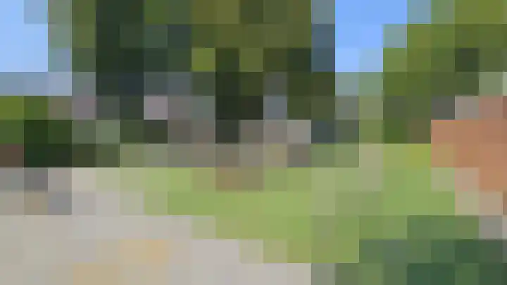 Rialen 4 Assendelft thumbnail 42