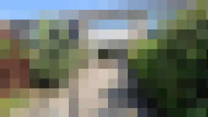 Rialen 4 Assendelft thumbnail 43