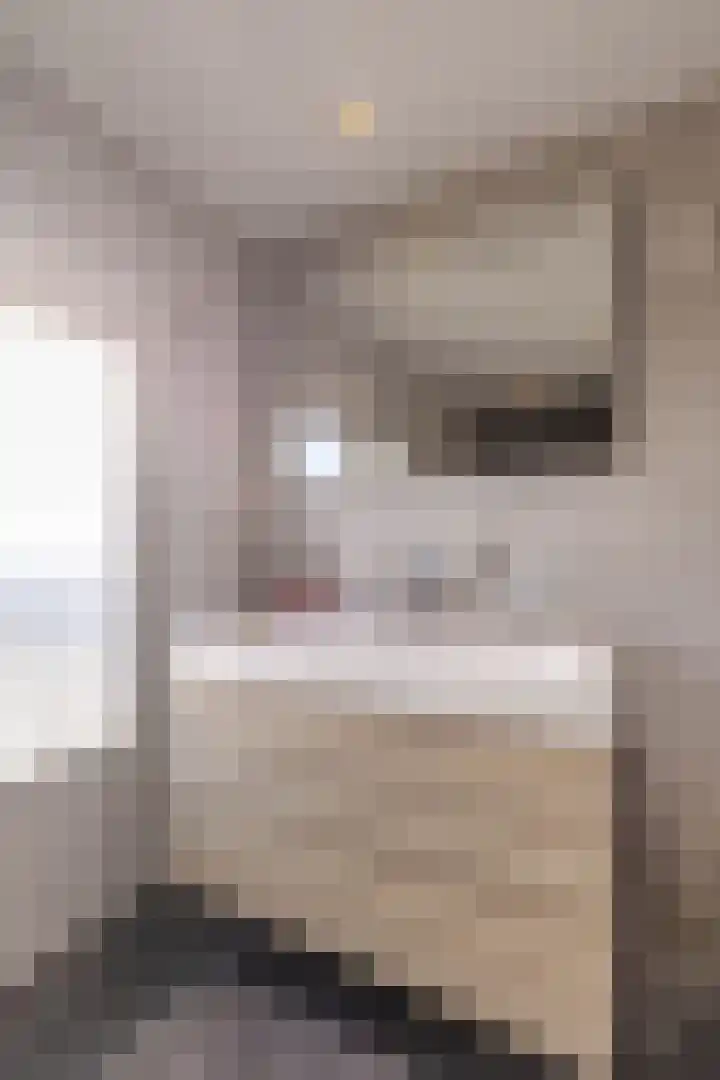 Rialen 4 Assendelft thumbnail 6