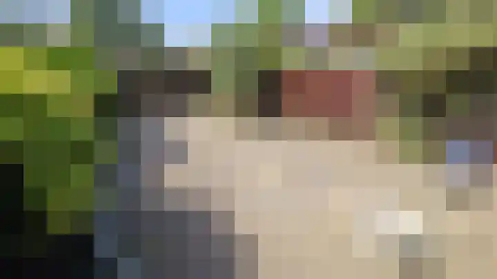 Rialen 4 Assendelft thumbnail 8