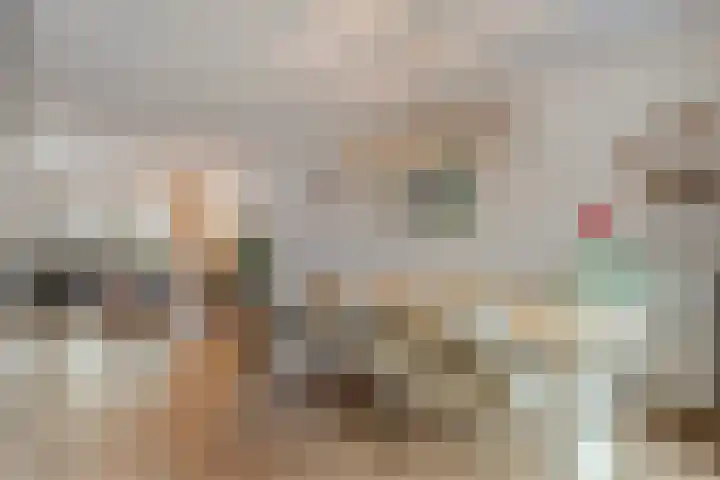 Ribberserf 6 Dalfsen thumbnail 12
