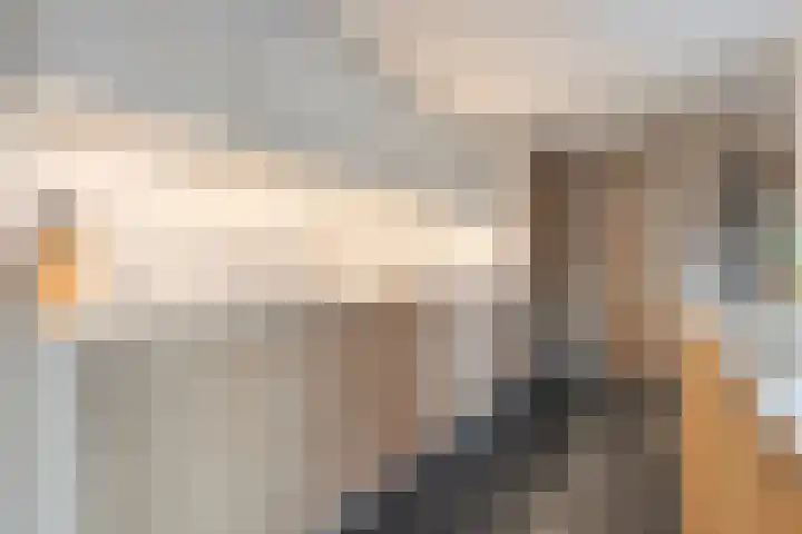 Ribberserf 6 Dalfsen thumbnail 15