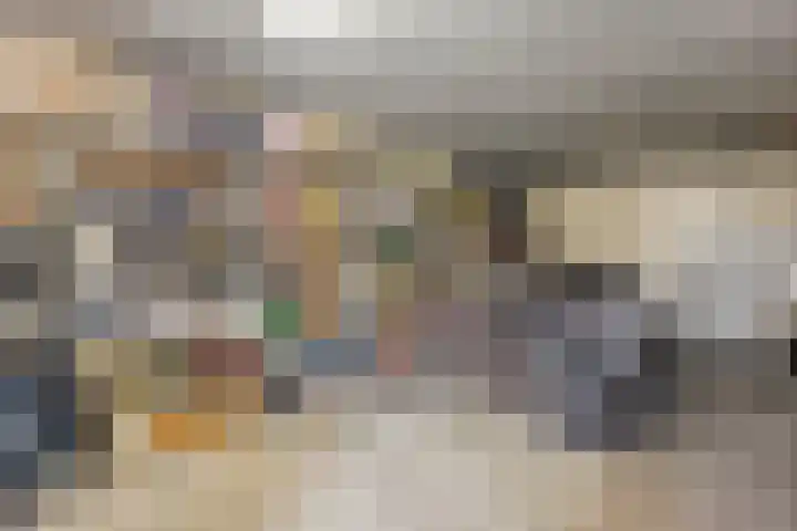 Ribberserf 6 Dalfsen thumbnail 18