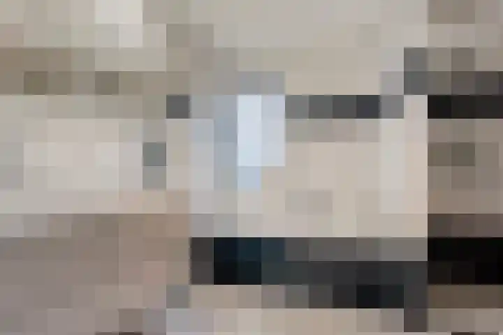 Ribberserf 6 Dalfsen thumbnail 29