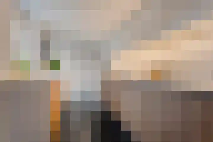 Ribberserf 6 Dalfsen foto 3