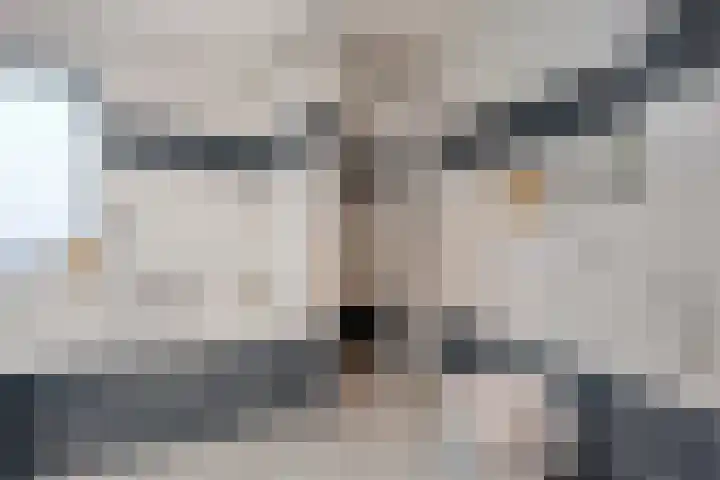 Ribberserf 6 Dalfsen thumbnail 30