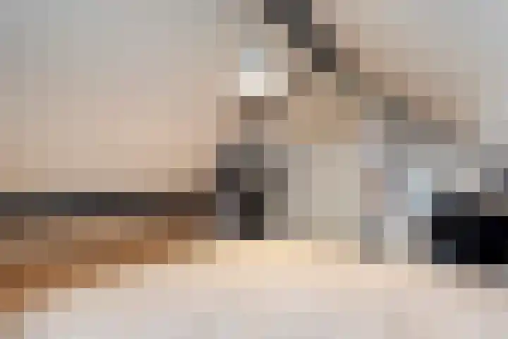 Ribberserf 6 Dalfsen thumbnail 37