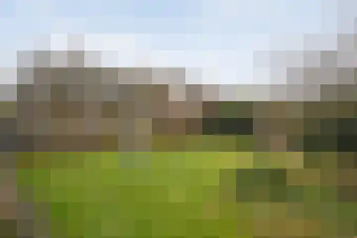 Ribberserf 6 Dalfsen thumbnail 38