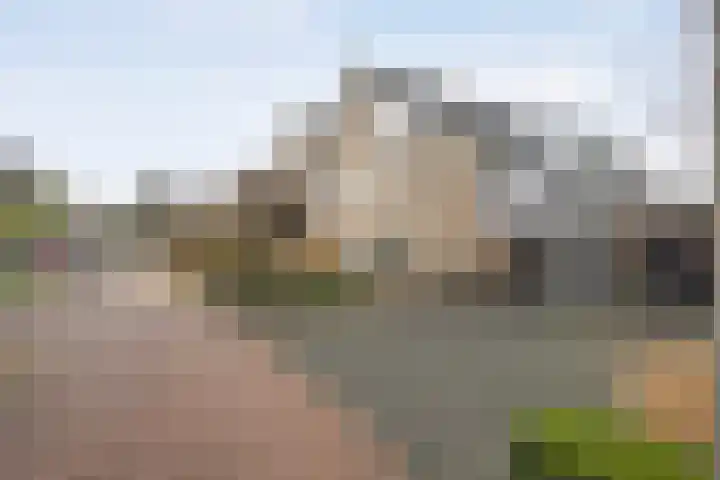 Ribberserf 6 Dalfsen thumbnail 4