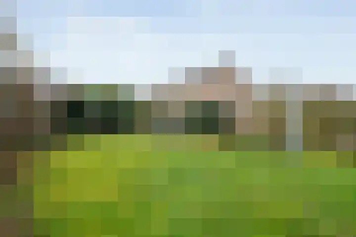 Ribberserf 6 Dalfsen thumbnail 42