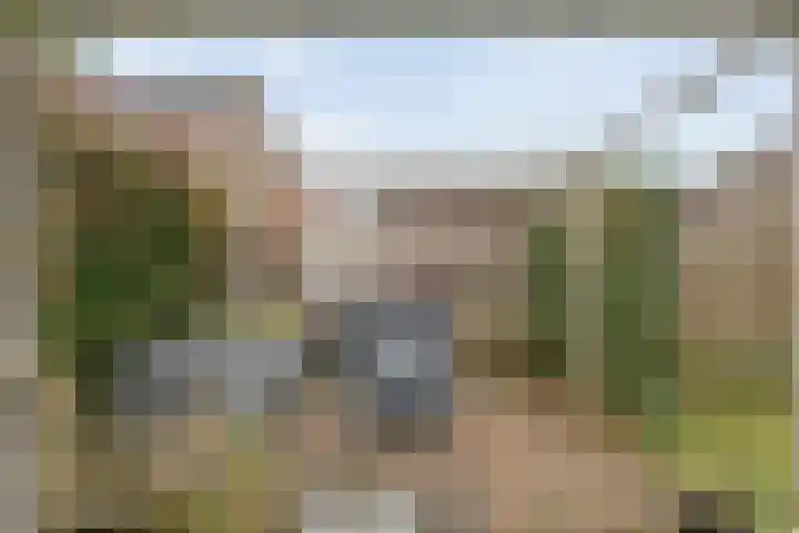 Ribberserf 6 Dalfsen thumbnail 44