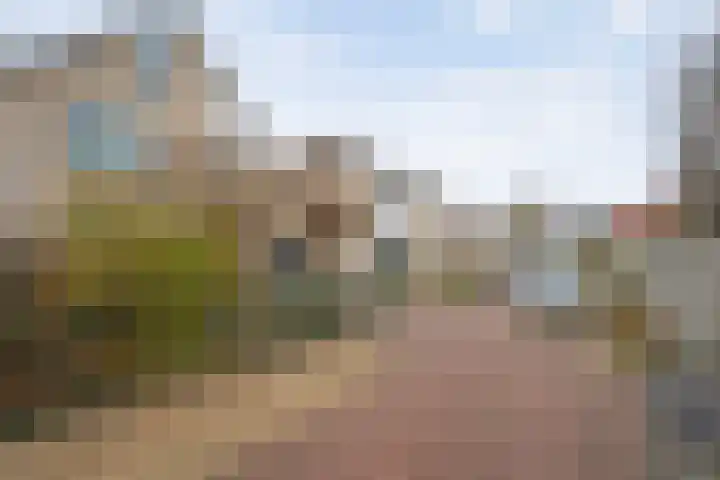 Ribberserf 6 Dalfsen thumbnail 47