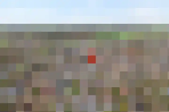 Ribberserf 6 Dalfsen thumbnail 48