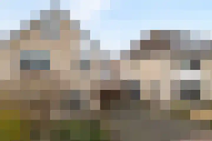 Ribberserf 6 Dalfsen thumbnail 49