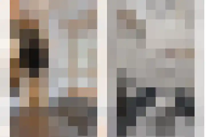 Ribberserf 6 Dalfsen thumbnail 6