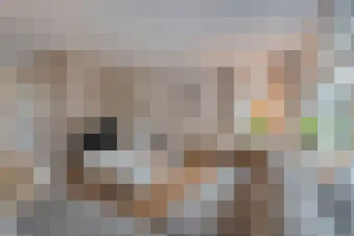 Ribberserf 6 Dalfsen thumbnail 8