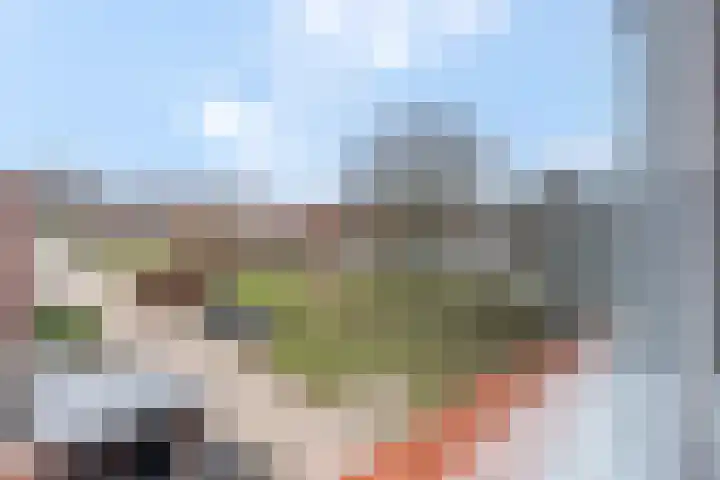 Ribeslaan 11 Rhenen thumbnail 35