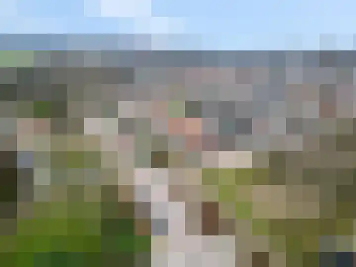 Ribeslaan 11 Rhenen thumbnail 36