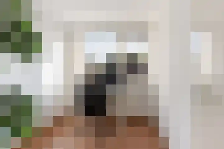 Ribeslaan 2 Gouda thumbnail 32