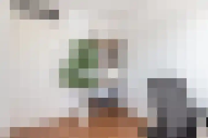 Ribeslaan 2 Gouda thumbnail 33