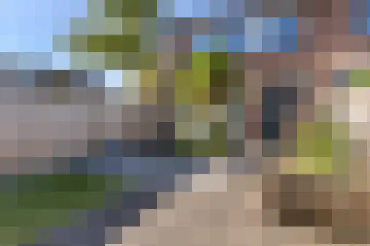 Ribeslaan 2 Gouda thumbnail 4