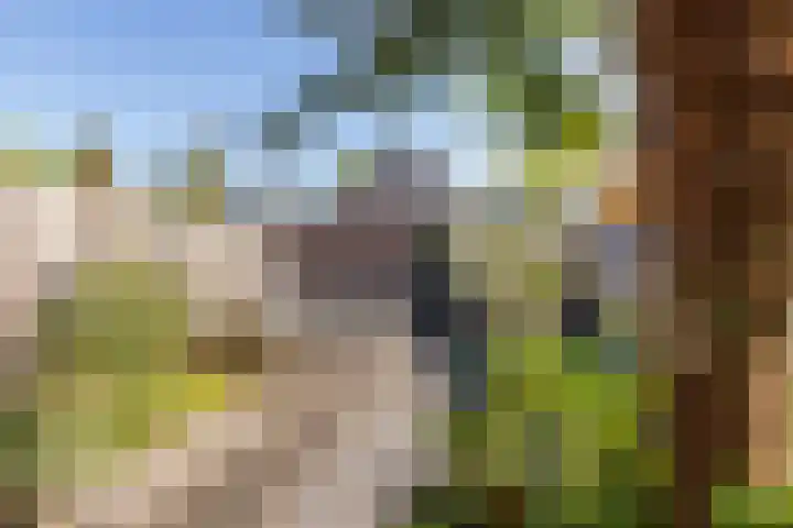 Ribeslaan 2 Gouda thumbnail 44