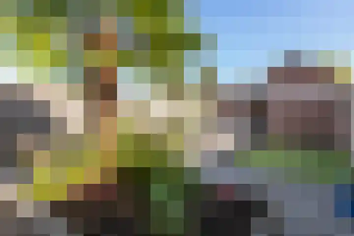 Ribeslaan 2 Gouda thumbnail 45