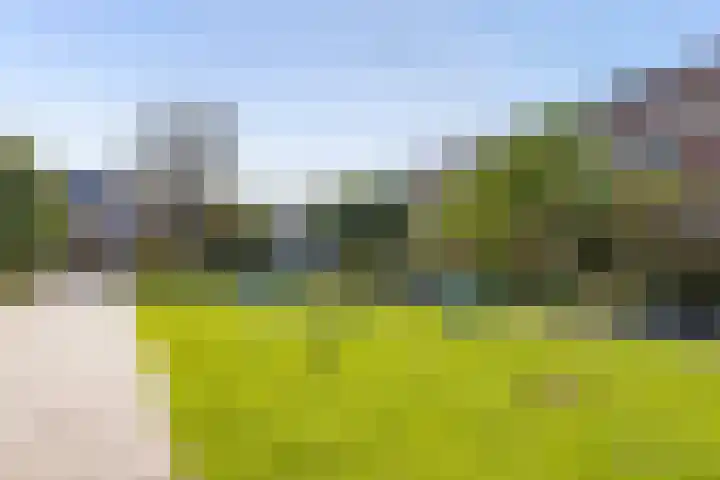 Ribeslaan 2 Gouda thumbnail 50