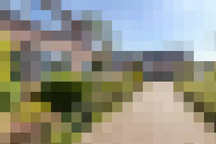 Ribeslaan 2 Gouda thumbnail 8