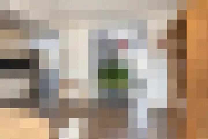 Ribesstraat 14 Wezep thumbnail 12