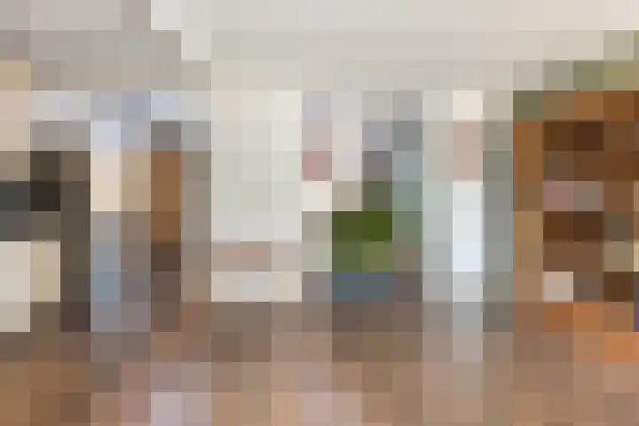 Ribesstraat 14 Wezep thumbnail 13