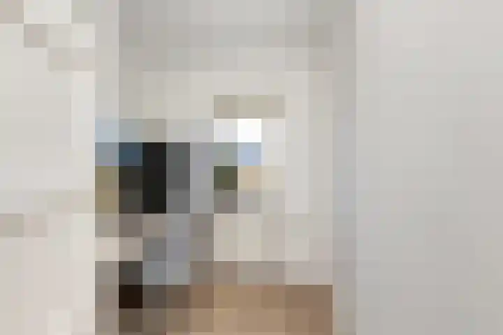 Ribesstraat 14 Wezep thumbnail 25
