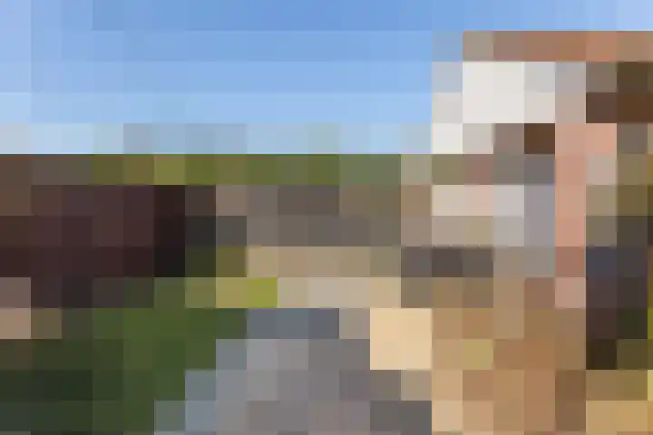 Ribesstraat 14 Wezep thumbnail 30