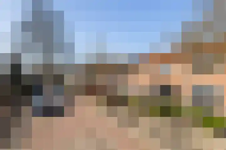 Ribesstraat 14 Wezep thumbnail 31