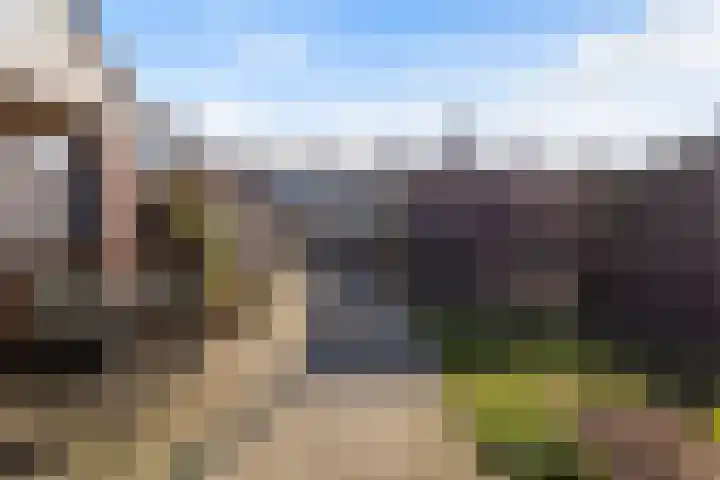 Ribesstraat 14 Wezep thumbnail 4