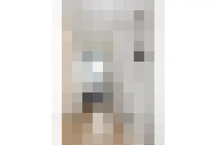 Ribesstraat 14 Wezep thumbnail 7