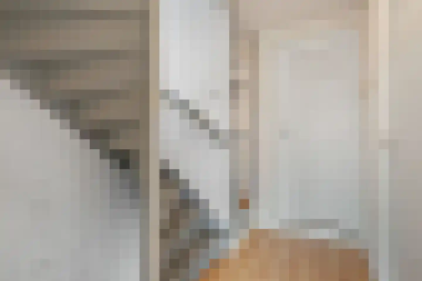 Ribesstraat 16 Doesburg thumbnail 30