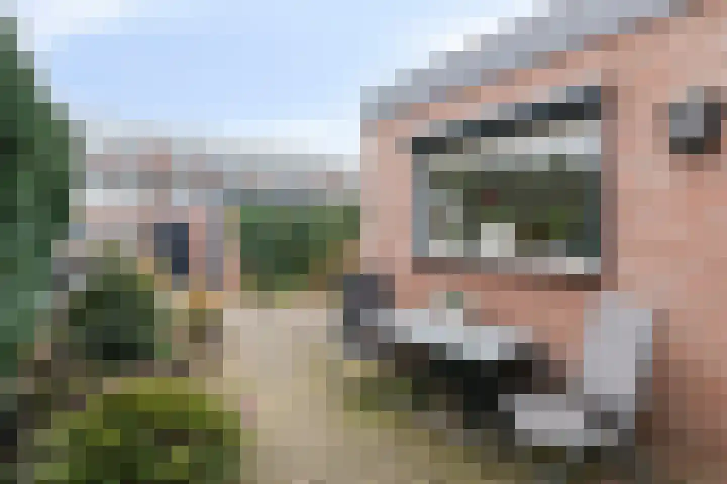 Ribesstraat 16 Doesburg thumbnail 35