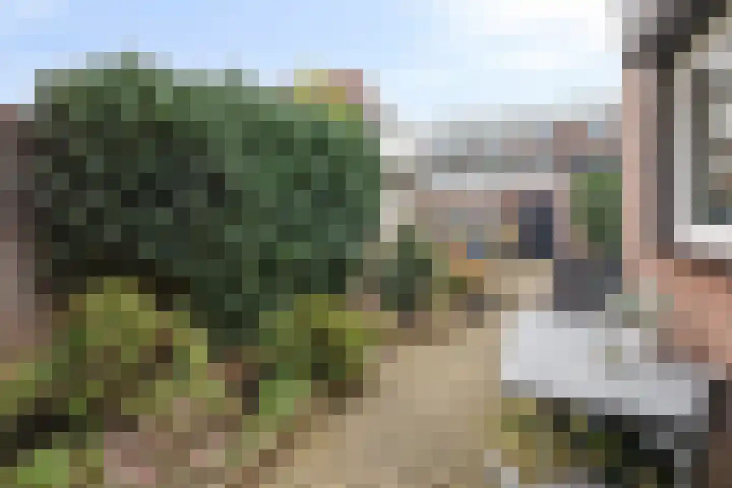 Ribesstraat 16 Doesburg thumbnail 36