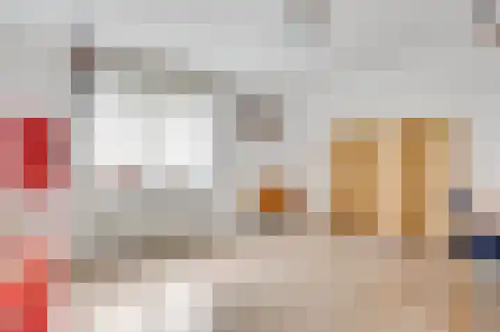 Ribesstraat 48 Nederweert thumbnail 26