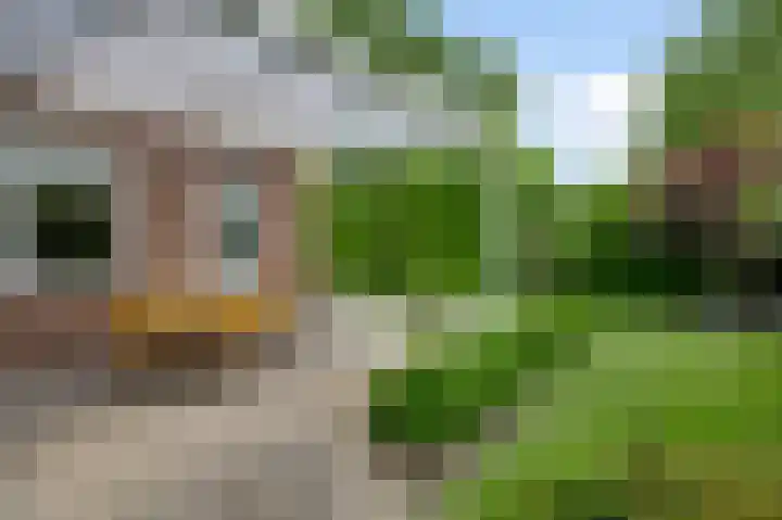 Ribesstraat 48 Nederweert thumbnail 38