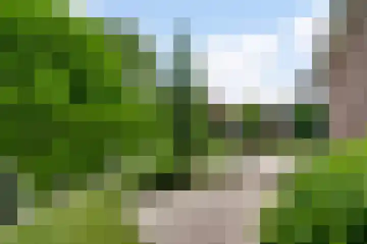 Ribesstraat 48 Nederweert thumbnail 43