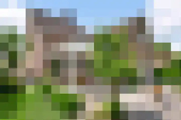 Ribesstraat 48 Nederweert thumbnail 44