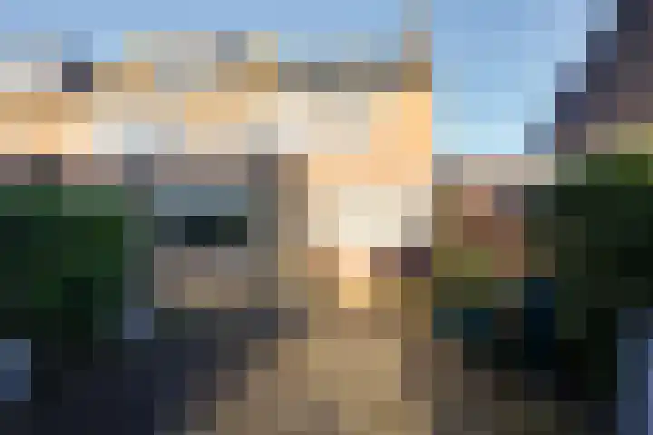 Ribesstraat 6 Puttershoek thumbnail 39