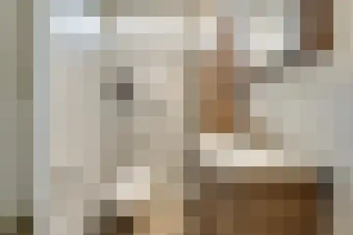 Ribesstraat 6 Puttershoek thumbnail 5