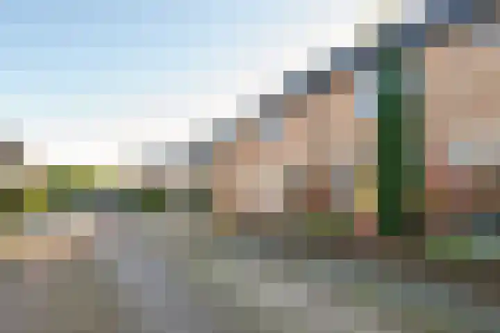 Ribesstraat 6 Puttershoek thumbnail 6