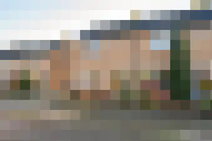 Ribesstraat 6 Puttershoek thumbnail 8