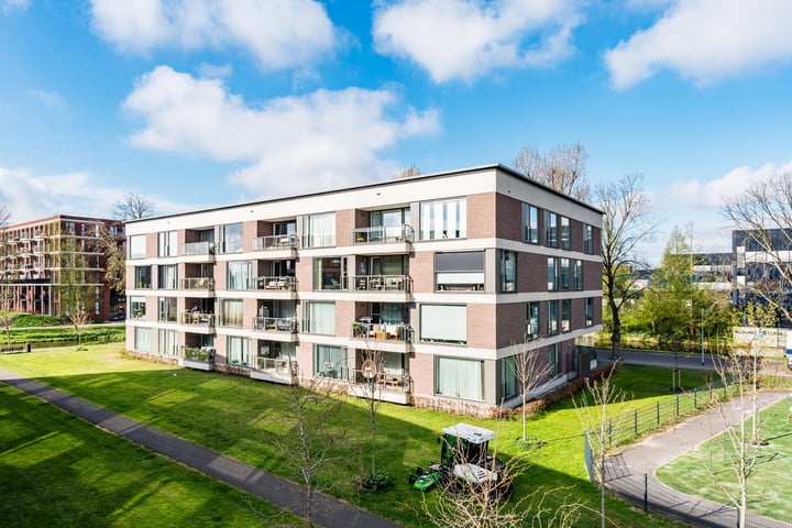 Richard Holkade 45 in Haarlem foto